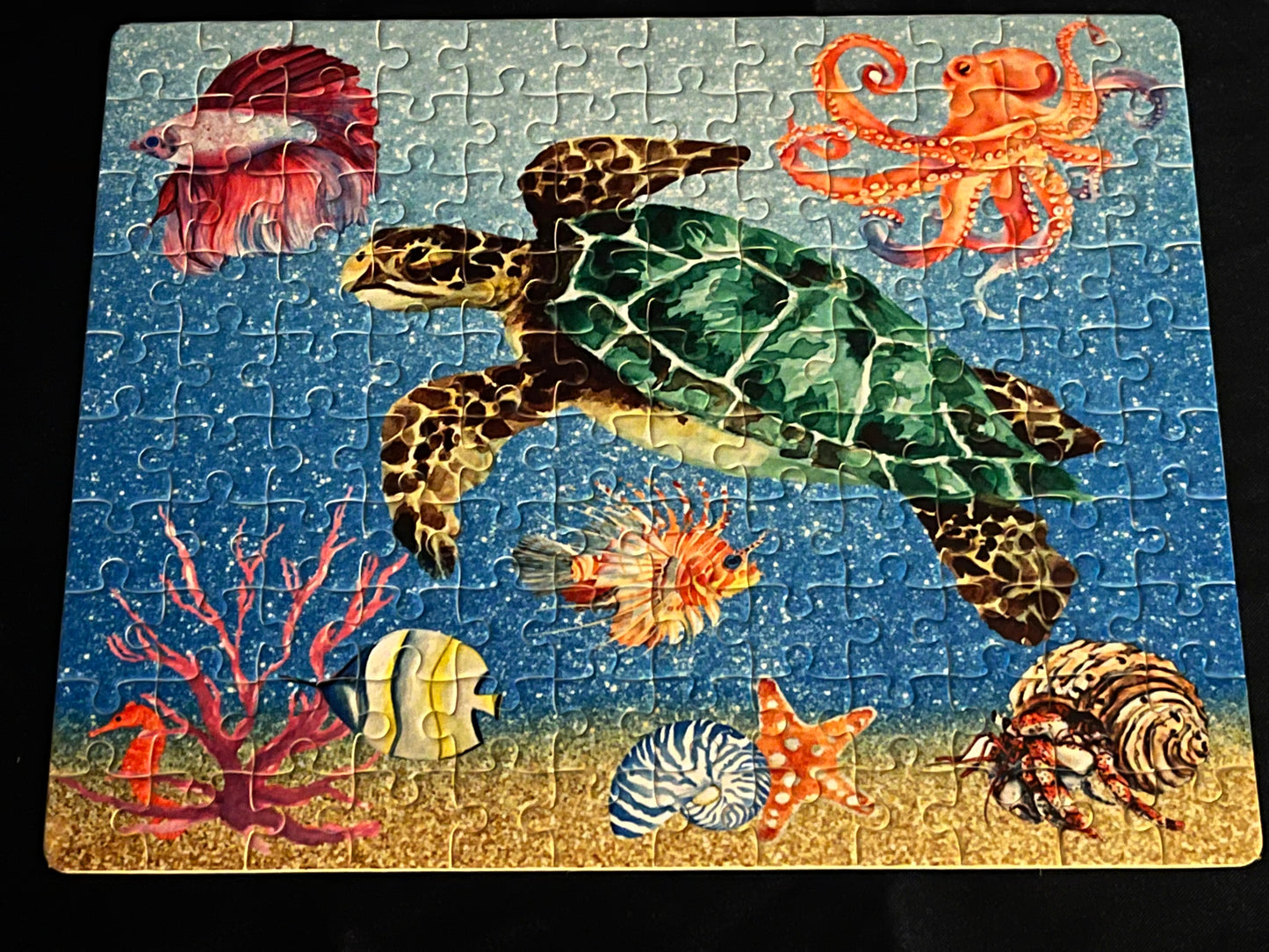 Sea Creatures-Puzzle